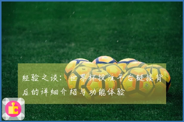 经验之谈：世界杯投注平台链接背后的详细介绍与功能体验