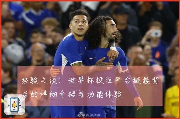 经验之谈：世界杯投注平台链接背后的详细介绍与功能体验
