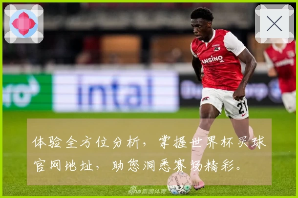 体验全方位分析，掌握世界杯买球官网地址，助您洞悉赛场精彩。